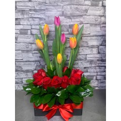 caja de 10 Tulipanes y 12 rosas