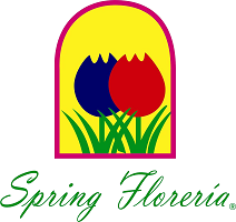 Spring Florería